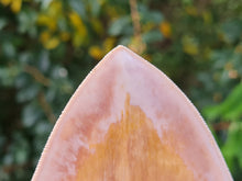 Charger l'image dans la galerie, Otodus megalodon 14.1cm / 5.55 inches