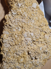 Lade das Bild in den Galerie-Viewer, Plaque de coquilles d'oeufs d'oiseaux Lutétien !!!!