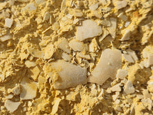 Lade das Bild in den Galerie-Viewer, Plaque de coquilles d'oeufs d'oiseaux Lutétien !!!!