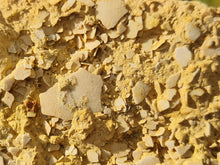 Lade das Bild in den Galerie-Viewer, Plaque de coquilles d'oeufs d'oiseaux Lutétien !!!!