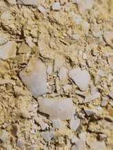 Lade das Bild in den Galerie-Viewer, Plaque de coquilles d'oeufs d'oiseaux Lutétien !!!!