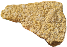 Lade das Bild in den Galerie-Viewer, Plaque de coquilles d'oeufs d'oiseaux Lutétien !!!!