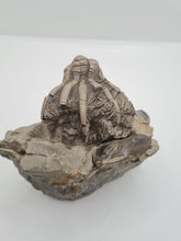 Charger l'image dans la galerie, Calice de crinoide Encrinus