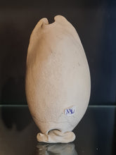 Cargar imagen en el visor de la galería, Siphocypraea problematica

