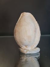 Lade das Bild in den Galerie-Viewer, Naria nebrites
