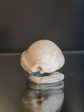 Lade das Bild in den Galerie-Viewer, Naria nebrites
