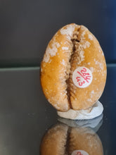 Lade das Bild in den Galerie-Viewer, Cypraea caputserpentis
