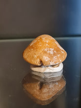 Lade das Bild in den Galerie-Viewer, Cypraea caputserpentis
