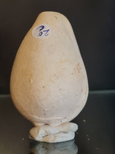 Lade das Bild in den Galerie-Viewer, Cypraea polysarca
