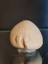 Lade das Bild in den Galerie-Viewer, Cypraea polysarca
