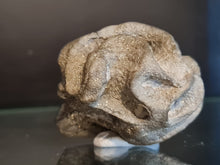 Charger l'image dans la galerie, Exanthesis (Plocoscyphia) meandrina en pyrite 2
