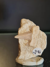 Lade das Bild in den Galerie-Viewer, Cretolamna France
