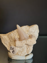 Lade das Bild in den Galerie-Viewer, Cretolamna France
