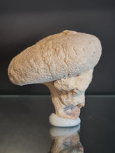 Cargar imagen en el visor de la galería, Spihonia pyriformis 3
