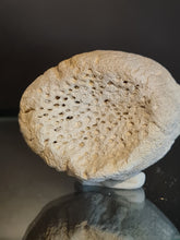 Lade das Bild in den Galerie-Viewer, Jerea sp
