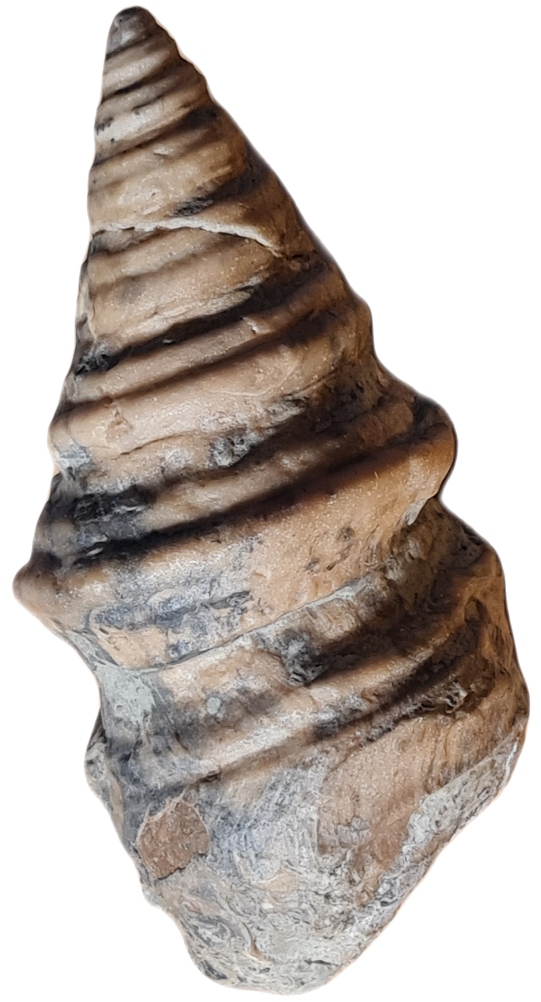 Vicaria