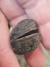 Charger l'image dans la galerie, Graine fossile Carya cf moenana
