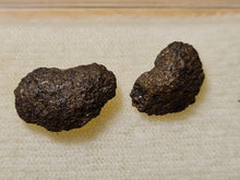 画像をギャラリービューアに読み込む, lot de2 Cardiocarpus graines
