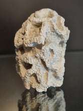 Cargar imagen en el visor de la galería, Plocoscyphia meandrina
