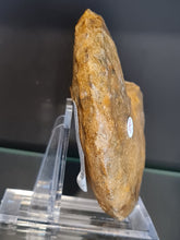 Lade das Bild in den Galerie-Viewer, Barroisiceras onilahyense
