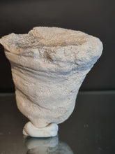 Charger l'image dans la galerie, Chenendopora sp 2
