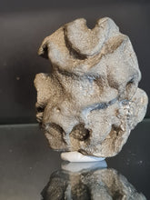 Charger l'image dans la galerie, Exanthesis (Plocoscyphia) meandrina en pyrite 2
