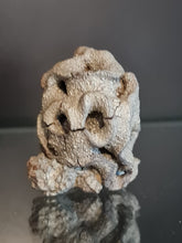 Lade das Bild in den Galerie-Viewer, Plocoscyphia meandrina en pyrite
